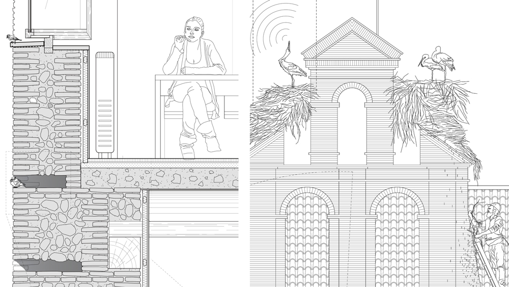 00-Arquitectura-y-fauna_2
